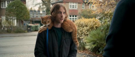 Уличный кот по кличке Боб фильм 2016