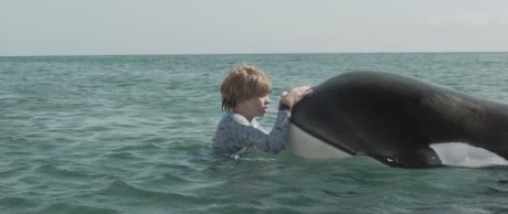 Маяк китов (2016)