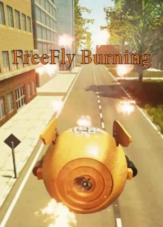 FreeFly Burning (2017)