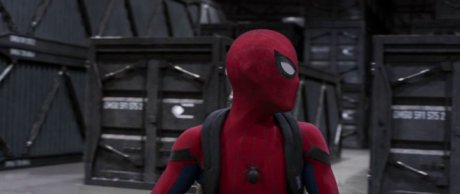 Человек-паук: Возвращение домой (2017)