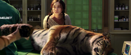 Похитители тигра (2021)